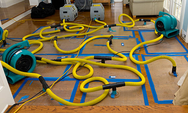 Professional Sewage Cleanup technician working in Conneaut, OH